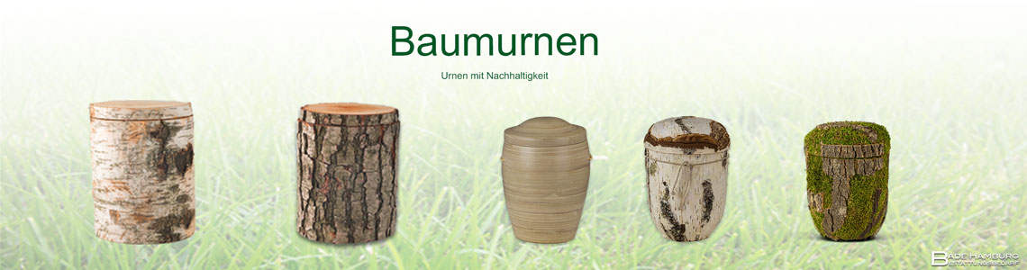 _Baumurnen