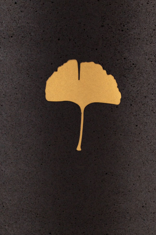 Gingkoblatt Symbol GOLD fr Urne aus Kohle