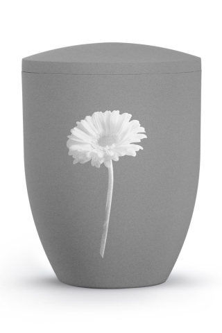 Urne steingrau Gerbera By Nature