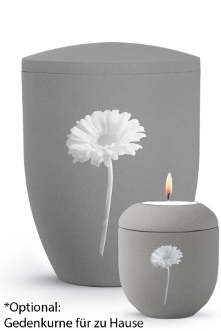 Urne steingrau Gerbera By Nature