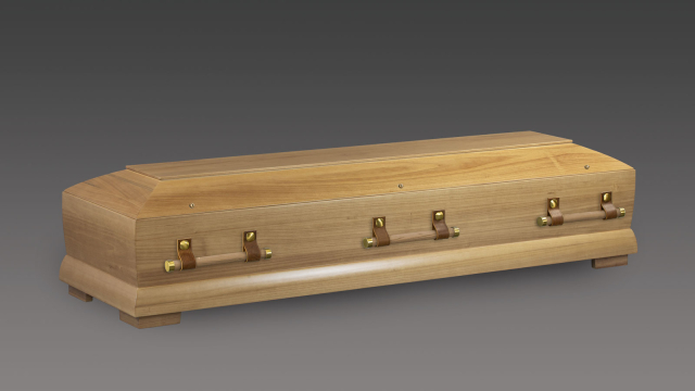 Sarg Paulownia Natur hell