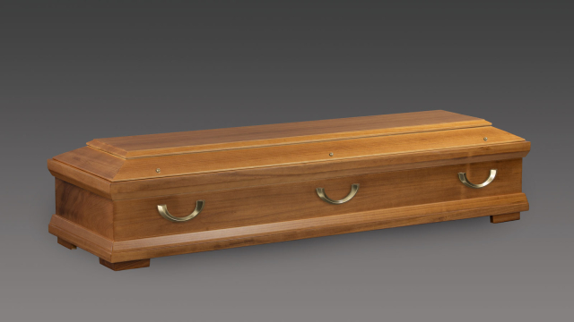 Sarg Paulownia Roma Bernstein