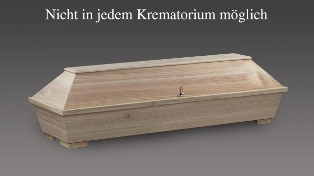 Nr.01 Paulownia roh - Naturbespannung