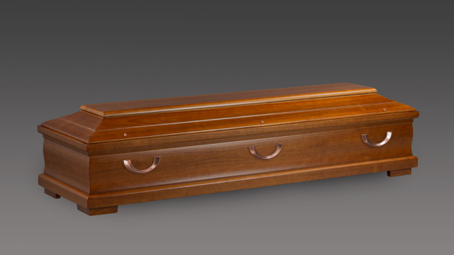 Paulownia Sarg rehbraun