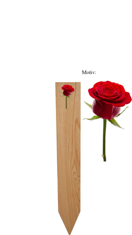 Erinnerungstafel MEMENTO Eiche natur mit Rose