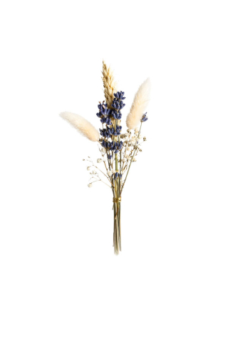 Trockenblumen Lavendel Edition Blomma