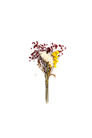 Trockenblumen Wildblumen Edition Blomma