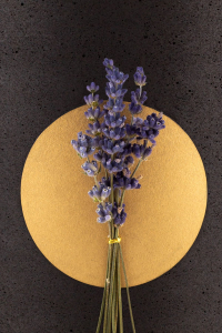 Florales Schmuckelement Lavendel