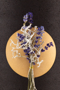 Florales Schmuckelement Lavendel und Zweige