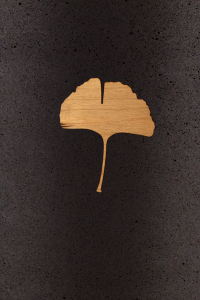 Gingkoblatt Symbol Holz fr Urne aus Kohle