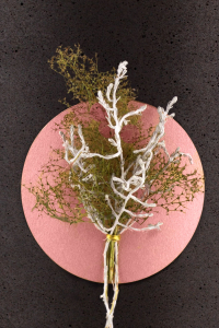 Florales Schmuckelement Zweige im Grn Plakette Rosgold