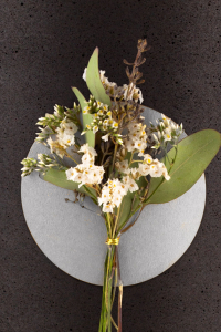 Florales Schmuckelement Silber Eukalyptus