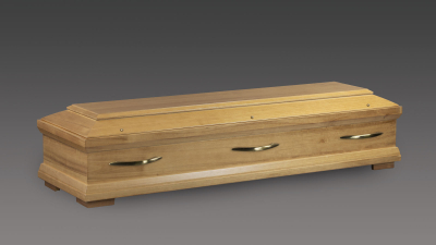 Sarg Paulownia Roma Natur