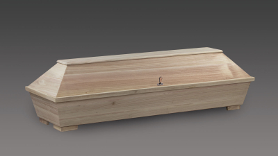 Nr.01 Paulownia roh - Naturbespannung