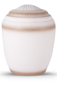 Seeurne Jacobsmuschel weiss und beige