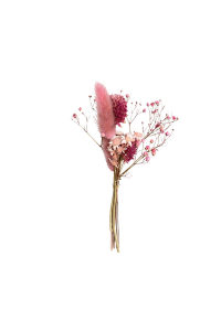 Trockenblumen rosa Edition Blomma