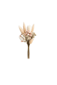 Trockenblumen Naturgr�ser Edition Blomma